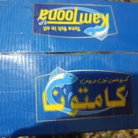 کنسرو ماهی درجه یک سفید