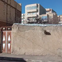 فروش مسکونی کلنگی/282متر/دو کله