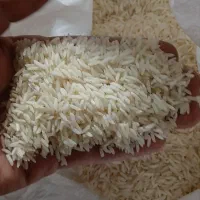برنج هاشمی محلی