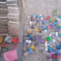 انواع قفس قناری مرغ عشق عروس سهره کوتوله شازده زرد