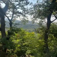 ۵۰۰متر زمین  ویودار