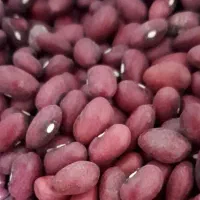 لوبیا قرمز یاقوت درجه یک