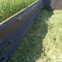 ذرت علوفه دامی