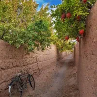 رهن-اجاره-نزدیک-حرم-ویلایی-300مترمستاجربی-حاشیه