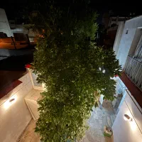 ۸۰ متر ویلایی دو طبقه/استاد همایی