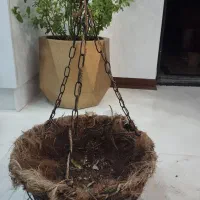 سه عدد گلدان آویز