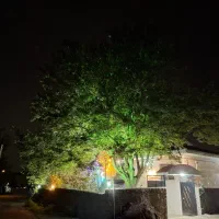 ویلا جنگلی در سراوان روستای کچا بدون واسطه ودربست