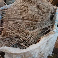خاک اره و پوشال چوب
