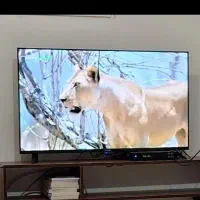 تلویزیون ۵۰اینچ معاوضه باموتور