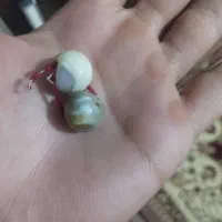 مهره