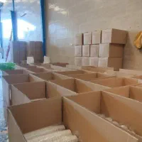تولید لیوان کاغذی
