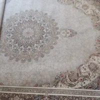 قالی ۱۲متری تافته