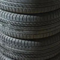 لاستیک فیدیلیتی