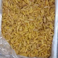 کشمش کاشمر