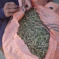 یونجه|عمده‌فروشی|داراب, |دیوار