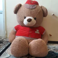 فروش خرس بزرگ
