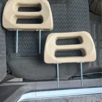 پشت سری رنویی