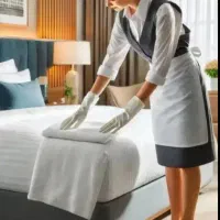 به یک نیروی خانم جهت امورمنزل نیازمندیم
