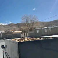 بهترین چغندر تحویل به مشتری هر جا نقاط در خدمتم