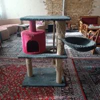 اسکرچر گربه