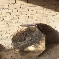 سلام طبل دست دوم به فروش میرسد