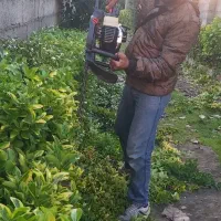 سمپاشی وباغبانی کل تهران و حومه با ضمانت و فاکتور