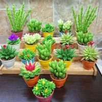 کاکتوس مصنوعی