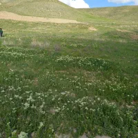 زمین ۲۵۰۰ متری زراعی،کنارآب،مسیر نیم ساعته