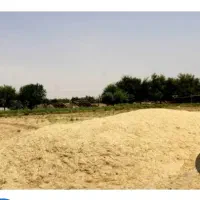 کاه دیم‌ گندم مرغوب