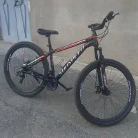 دوچرخه 29