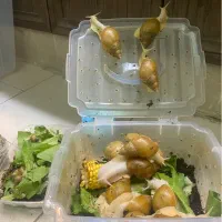 سرگرمی وفراغت