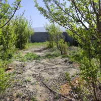 باغشهری-مجموعه-گلستانه-دالین
