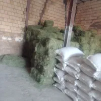 یونجه درجه یک