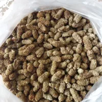 توت خشک امسالی تمیز درجه یک درشت