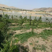 ۵قطعه ۲۵۰متری باغچه|فروش زمین و ملک کلنگی|تهران, دهقان|دیوار