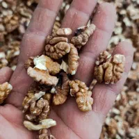با سلام مغز گردو سفیدو خورشتی تازه شکن
