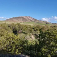 باغ-و-زمین-کشاورزی