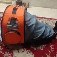 کوله پارک دار وسایل گربه
