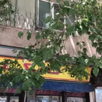 ساختمان کلنگی ۱۰۵ متر / پهنه  R 122