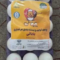 تخم مرغ