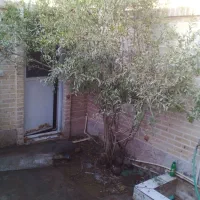 خانه-رهنی