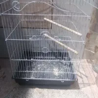قفس پرنده