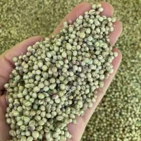 خریدوفروش انواع محصولات کشاورزی