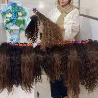 کندوان انتهای پردیس پنجم (مرکزمو یاس)