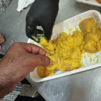 قطه بندی مرغ