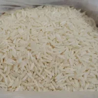 برنج سالم طارم ارگانیک بدون کود و سم