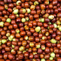 عناب تازه