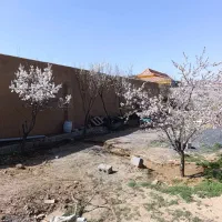 باغ-460-متری-قلعه-سفید