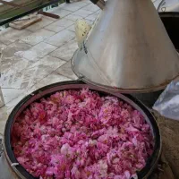 تور ۳و نیم روزه  هفته دوم خرداد به قمصر کاشان