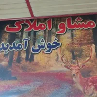 اجاره مغازه